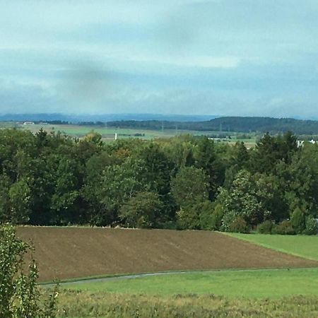 Burgfreude Appartamento Bisingen Esterno foto